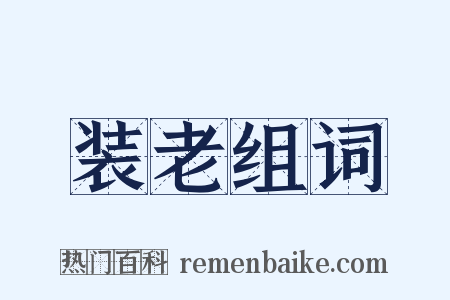 装老组词是什么意思的图片